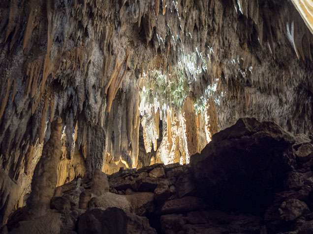 Die Höhle Postojnska Jama