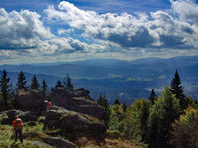 Mühlriegel-Panorama