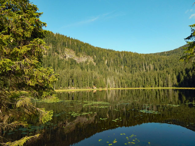 Großer Arbersee