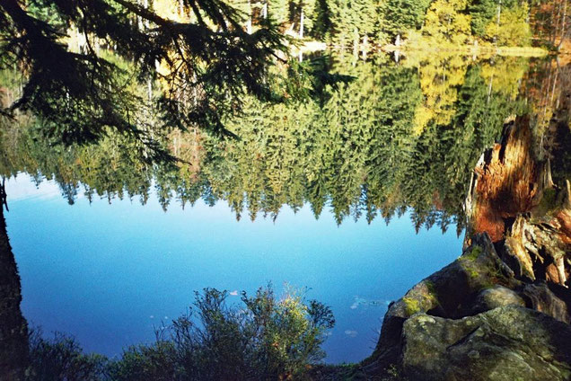 Großer Arbersee