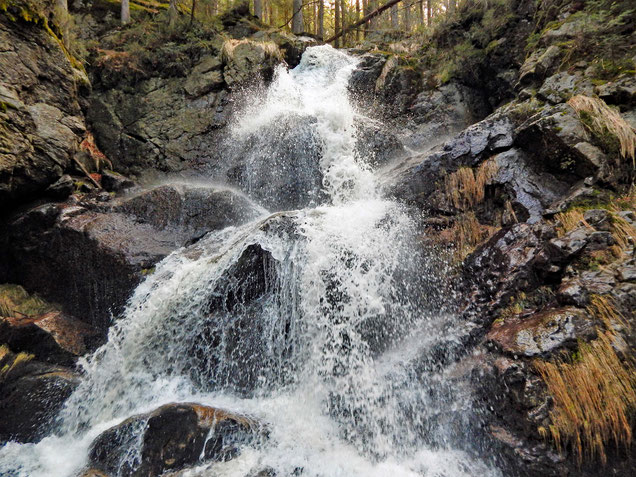 Die Rißlochfälle - die höchsten Wasserfälle des Bayerischen Waldes - bestehen aus mehreren Kaskaden.