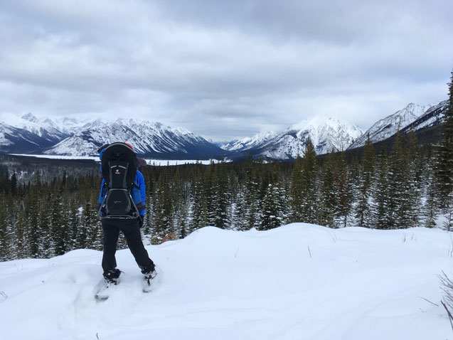 Snowshoeing With Baby