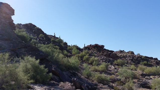 Travel with baby to Phoenix, Arizona - Hiking