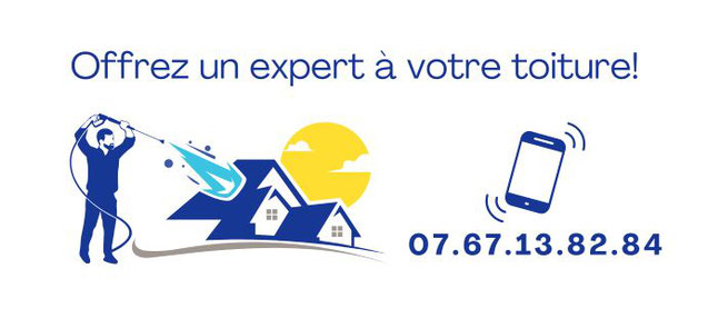 nettoyage toiture lyon