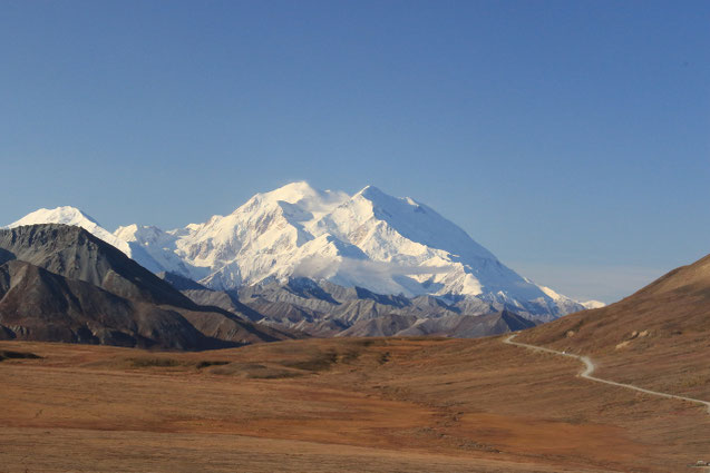 Der Denali in ganzer Pracht!