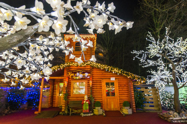 Hasselt Christmas Market