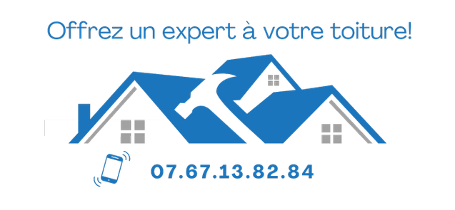 nettoyage toiture lyon