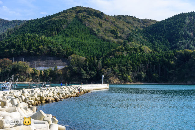 桃浦漁港