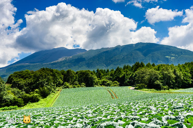 浅間山