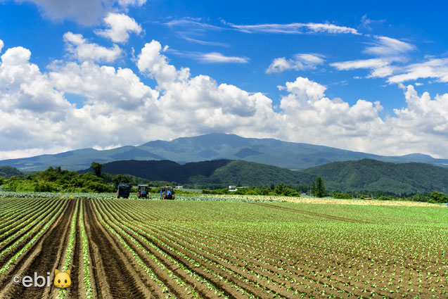 白根山