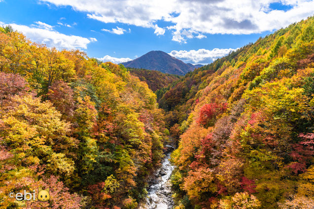 中津川渓谷