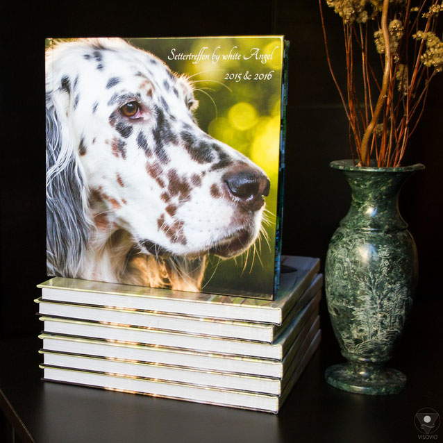 Setterbuch, Settertreffen, by white Angel, English Setter