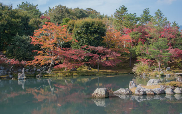 I bellissimi giardini del Tenryu-ji ad Arashiyama