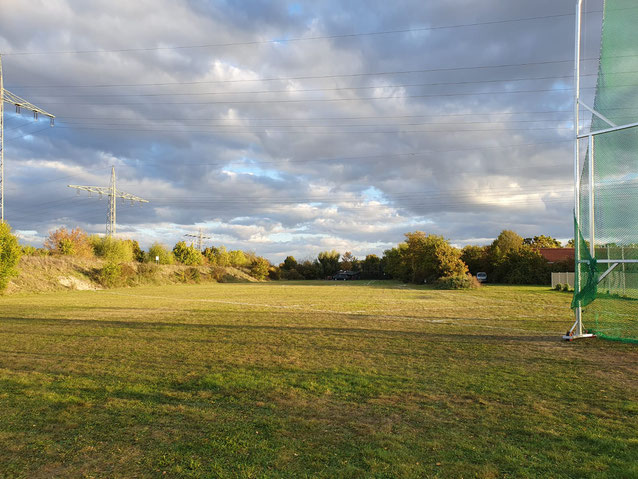 Früh Morgens auf dem Wurffeld, dem "Sportplatz auf der Wiese" - übrigens außerhalb der Trainingszeiten ein wichtiger Rückzugsort für Hasen, Fasanen etc.