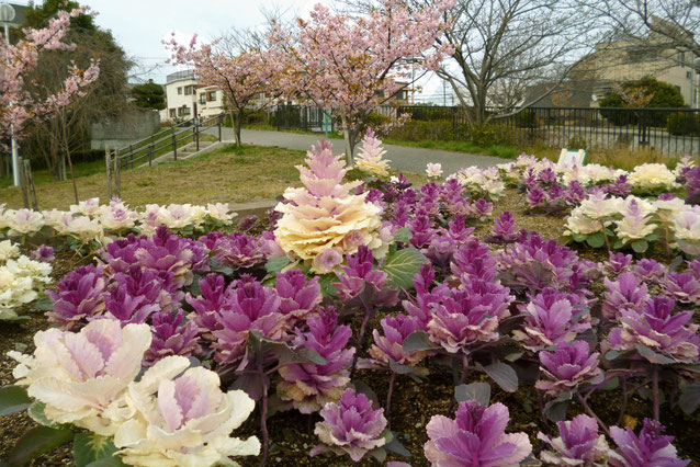 「花咲か公園」でこの3月下旬