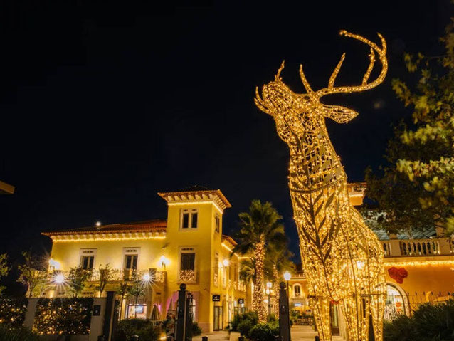 La Roca Village and dali museum tour