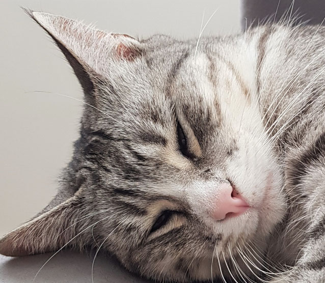 Friday Lola - Courtesy of Lola