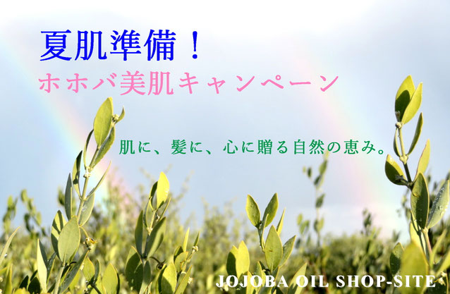 ∞ 夏肌準備！ホホバ美肌キャンペーン♪天然ホホバで整える 夏の美肌＆頭皮ケアセット　🌿天然100％ホホバオイル使用 🧴人気アイテムがセットでお得！ 🎁自分にも、大切な人にも 🚿全身すっきり、夏の美肌準備♪　天然100％ホホバオイル配合の人気シリーズを、今だけ特別価格で。 汗ばむ季節のスキンケア＆頭皮ケアに。ギフトにも、自分へのご褒美にもおすすめです。6月限定／数量限定キャンペーン♪ 今だけ特別価格♪