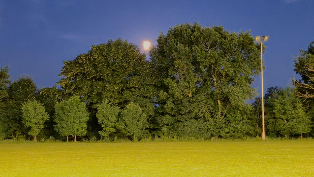 Der Mond kam um 22:50 Uhr, passend zum Turniernamen, hinter den Bäumen hervor!