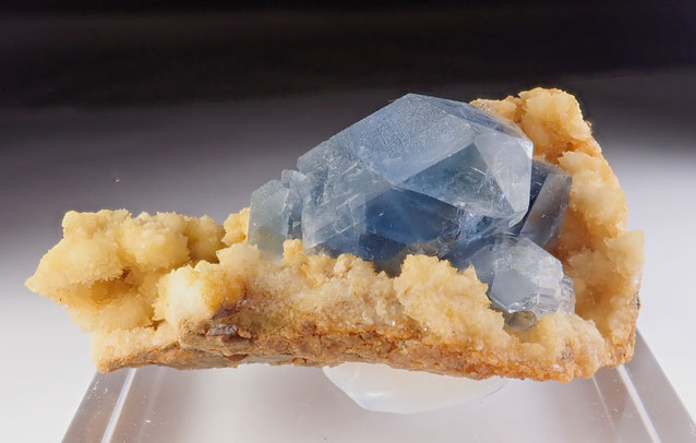 Celestine Afghanistan