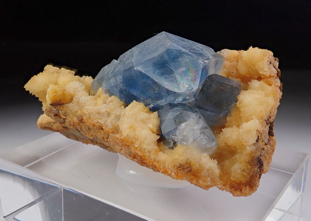 Celestine Afghanistan