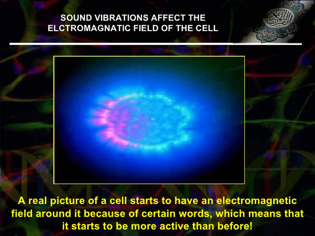 Le vibrazioni sonore influiscono su campo magnetico delle cellule.
