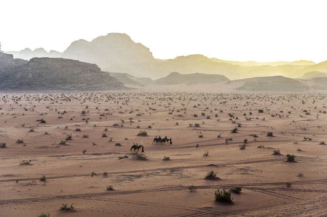 Sonnenuntergangsstimmung im Wadi Rum
