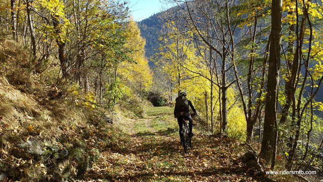 il sentiero con tappeto verde è il preludio al single track godurioso