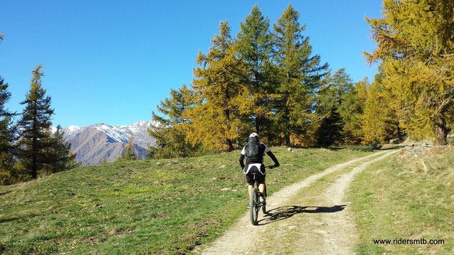 dopo 12 km di asfalto finalmente calpestiamo sentieri immersi in bosco fatato