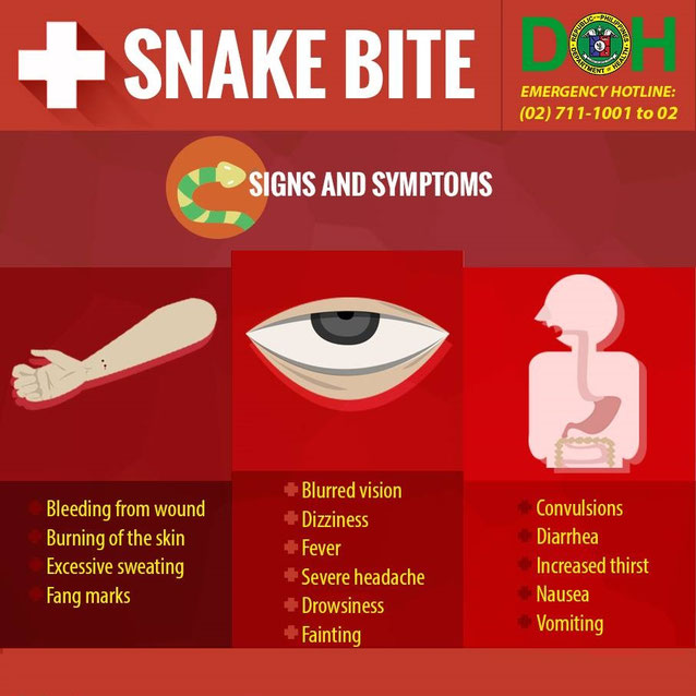 Snakebite Philippines Disasters