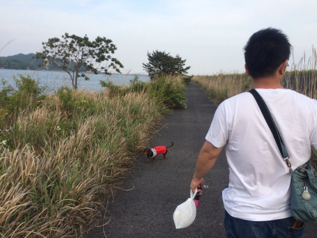 家から車で1分位のとこに中海がパーッと広がっています。昔、ウォーキングしたりドライブ良くしたなぁ☺︎魚釣りも出来る◎