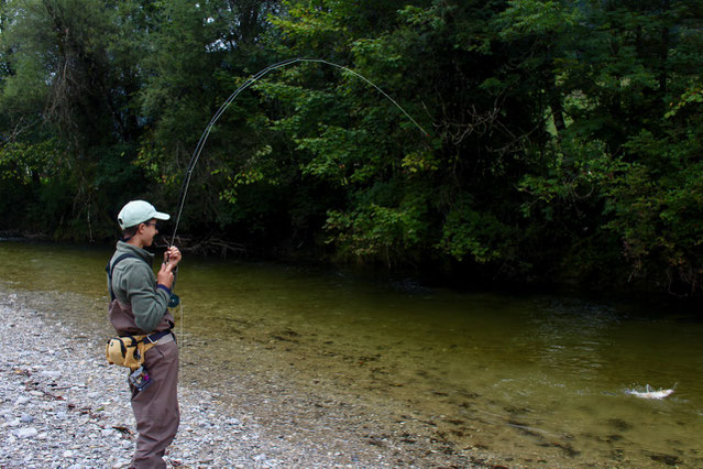 the don flyfishing for grayling hard fight dry fly stream fliegenfischen