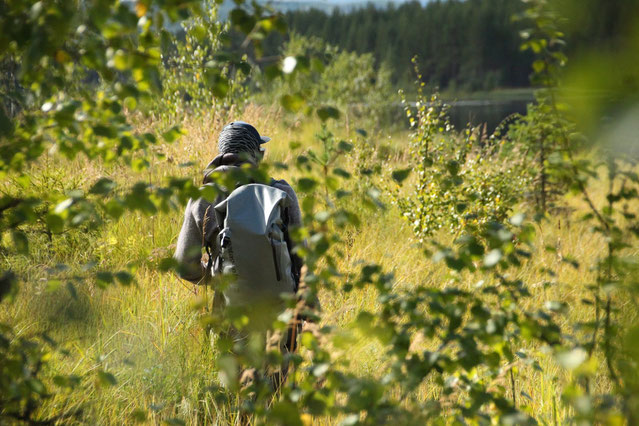 flyfishing for pike in Norway at the Rena river