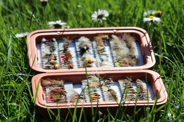 Simms Foam Fly Box for Nymph and Dry Fly Trout and Grayling Flyfishing