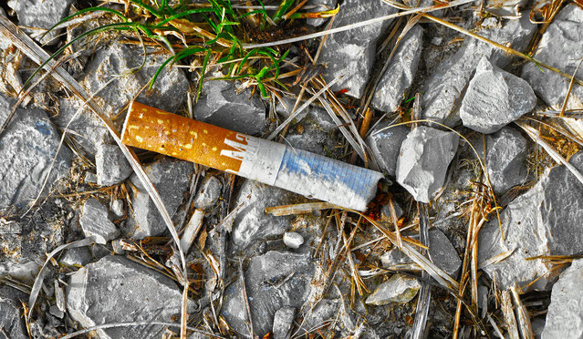 environmental impact cigarettes