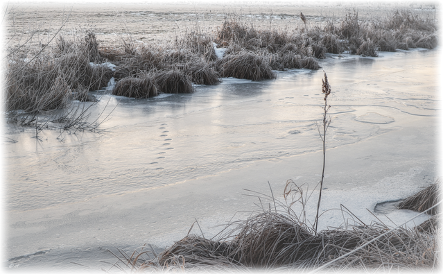 Spuren im Eis