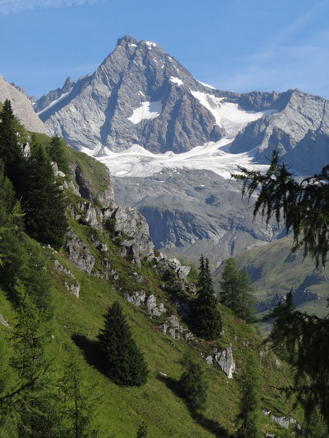 Grossglockner van www.canvastirol.nl