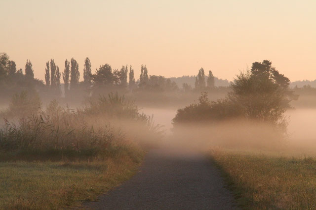 Morgenstimmung im Wollmatinger Ried - Foto: NABU/R. Ratzbor
