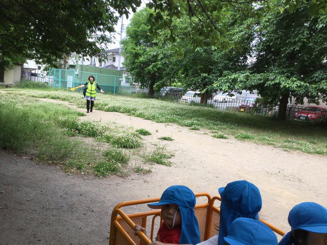 お散歩 芦山公園コース 北坂戸東口駅前保育園 お散歩 芦山公園コース 北坂戸東口駅前保育園