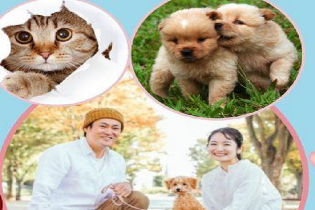 婚活もいいけど、犬猫大好き♡絶対、楽しすぎる《アルコール・飲み放題》《一対一対面式》