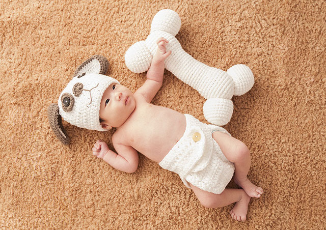 戌年です スタジオ夢物語 札幌 戌年です スタジオ夢物語 札幌