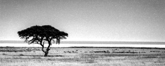 Home - interior-safari: Interiors & Living neu entdecken