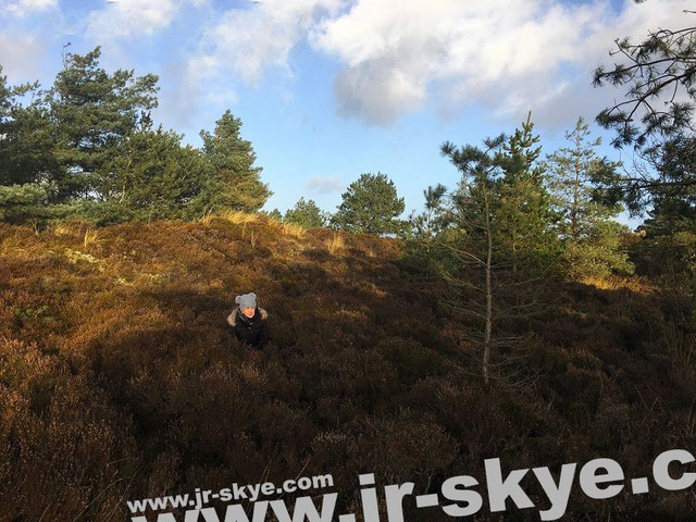 Dänemark - www.jr-skye.com