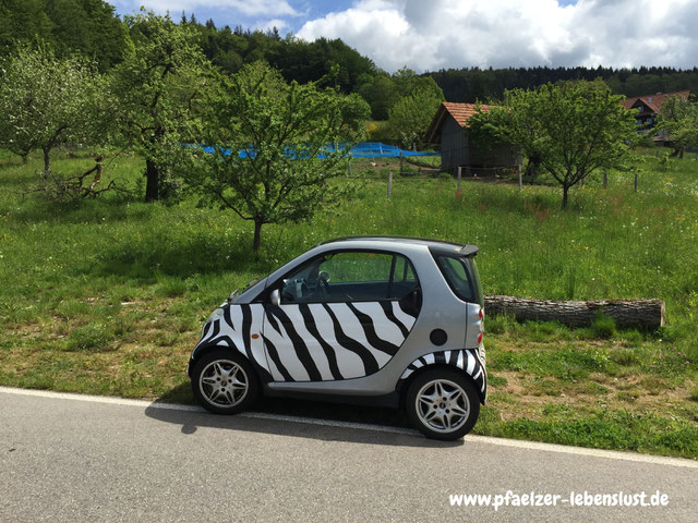 Smart Fortwo Zebramuster Zebrastreifen