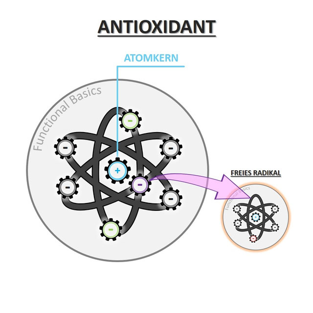 Was sind Antioxidantien? Was steckt dahinter? Functional Basics