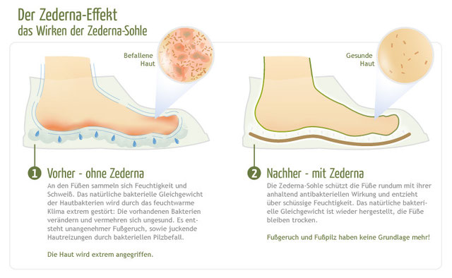 Zederna Zedernsohlen , Schweiß und Geruch Ade! - wundertuetenlands