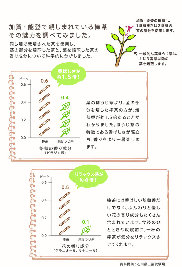 加賀棒茶の魅力