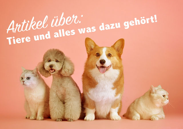 Gewichtsverlust plr Artikel kostenlos