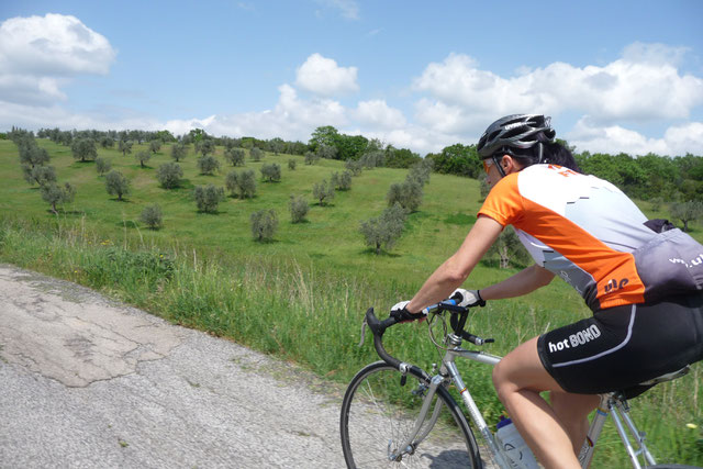 Frauen Und Rennrad Rennradurlaub In Der Toskana