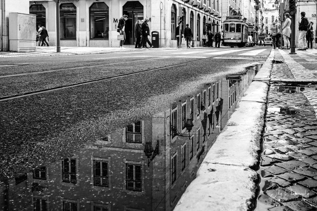 Portugal / Lissabon, Lisboa, Street, Tram, Spiegelung, 2016, © Silly Photography